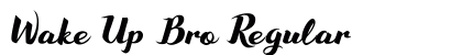 Wake Up Bro Regular font free download