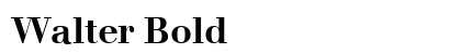 Walter Bold Preview