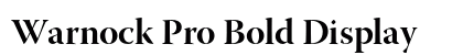 Warnock Pro Bold Display Preview
