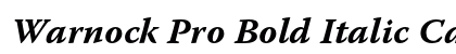 Warnock Pro Bold Italic Caption Preview