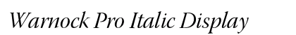 Warnock Pro Italic Display Preview