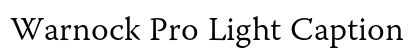 Warnock Pro Light Caption Preview