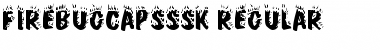 FirebugCapsSSK Font