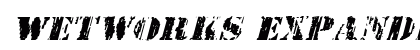 Wetworks Expanded Italic Expanded Italic font free download