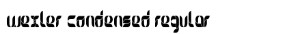 Wexler Condensed Regular Preview