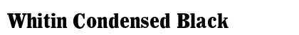 Whitin Condensed Black preview
