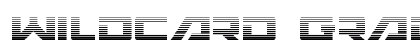Wildcard Gradient Regular Font Wildcard Gradient Regular Font Preview