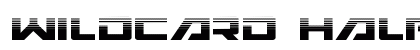 Wildcard Halftone Regular Font Preview
