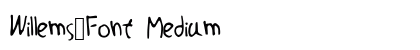 Willems_Font Medium preview
