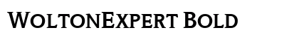 WoltonExpert Bold font free download