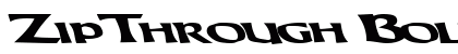 ZipThrough Bold Preview