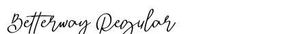 Betterway Regular preview