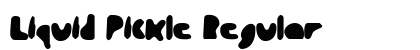 Liquid Pickle Regular preview