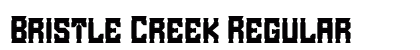 Bristle Creek Regular preview