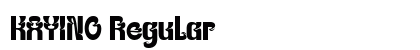 KAYINO Regular preview