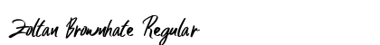 Zoltan Brownhate Regular