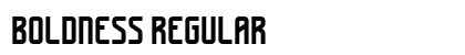 Boldness Regular preview
