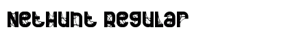 NetHunt Regular preview NetHunt Regular preview