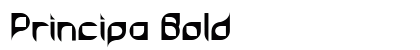 Principa Bold Font Principa Bold Font Preview