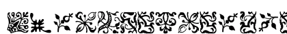 FCaslonOrnamentsITC Medium Font Preview