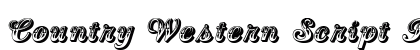 Country Western Script Regular preview
