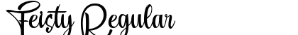 Feisty Regular font free download