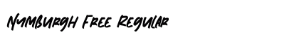 Nymburgh Free Regular preview