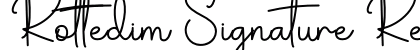 Rottedim Signature Regular preview