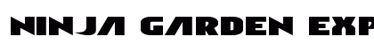 Ninja Garden Expanded Expanded Font Preview