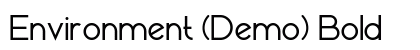 Environment (Demo) Bold preview Environment (Demo) Bold preview