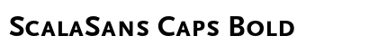 ScalaSans Caps Bold Font Preview