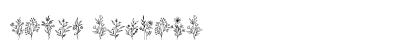 Bloem Regular preview