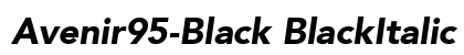 Avenir95-Black BlackItalic preview