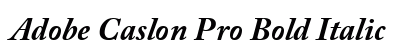 Adobe Caslon Pro Bold Italic preview