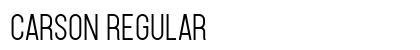 Carson Regular (OpenType) Font Preview