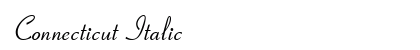 Connecticut Italic Font Preview