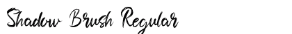 Shadow Brush Regular preview