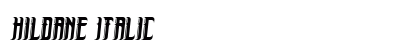 Hildane Italic Font Preview