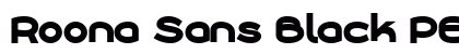 Roona Sans Black PERSONAL Regular Font Preview