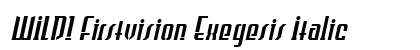 WILD1 Firstvision Exegesis Italic preview