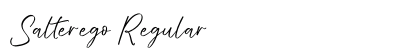 Salterego Regular (OpenType) Font Preview