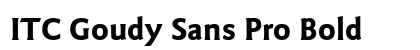ITC Goudy Sans Pro Bold preview