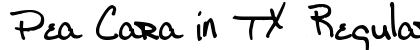 Pea Cara in TX Regular Font Preview