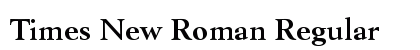 Times New Roman Regular font free download