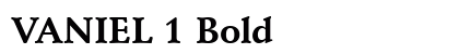 VANIEL 1 Bold Preview