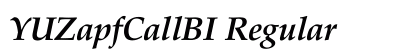 YUZapfCallBI Regular Font Preview YUZapfCallBI Regular Font Preview
