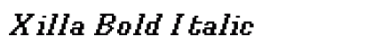 Xilla Bold Italic preview