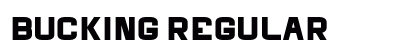 Bucking Regular preview