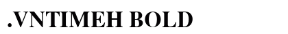 .VnTimeH Bold preview