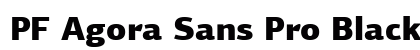 PF Agora Sans Pro Black preview